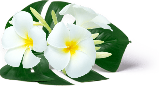 best thai spa in Amritsar