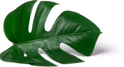 spa parlour in Amritsar